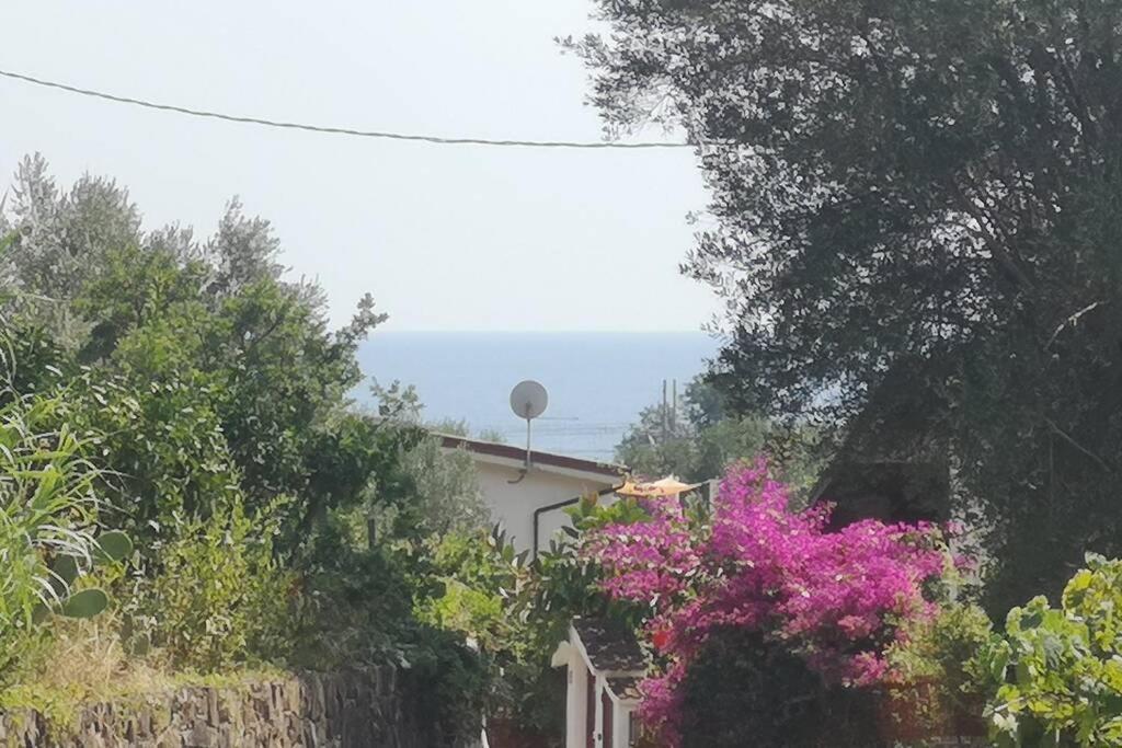 Villa Cilento Mare, Bellissima Con Ampio Giardino Capitello Exterior foto